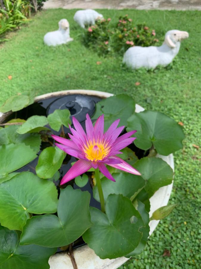 The Orchid House Nong Kung Yai Exterior foto