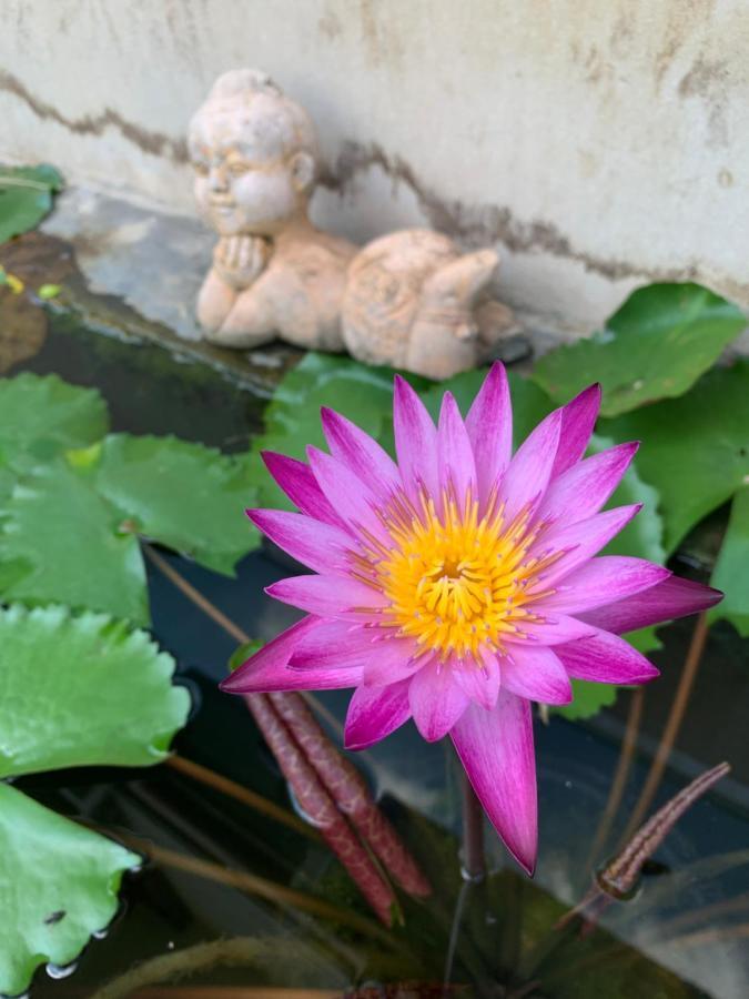 The Orchid House Nong Kung Yai Exterior foto